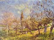 Alfred Sisley,"Frutteto in primavera"
