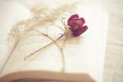 book,flower.jpg