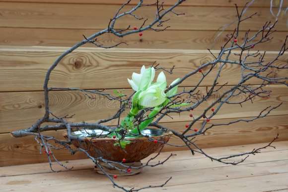 primavera-ikebana-disposizione-floreale-giapponese-138663262.jpg